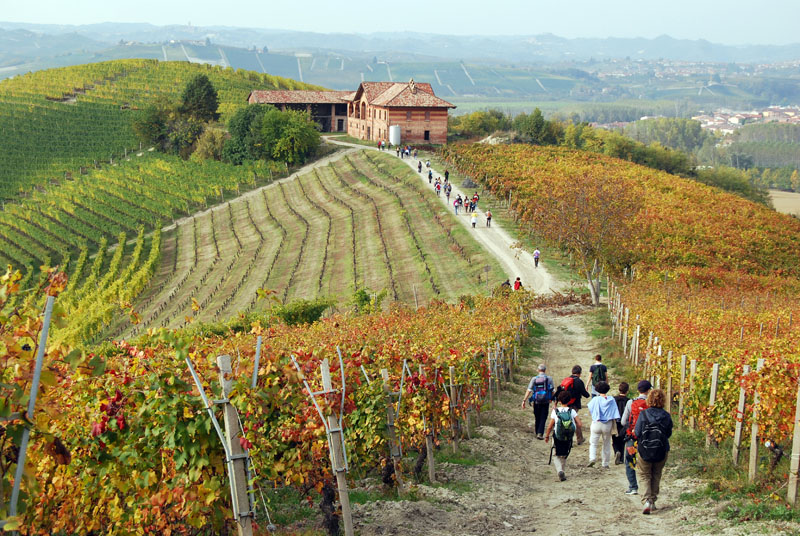 Barolo - Grinzane-Cavour-4