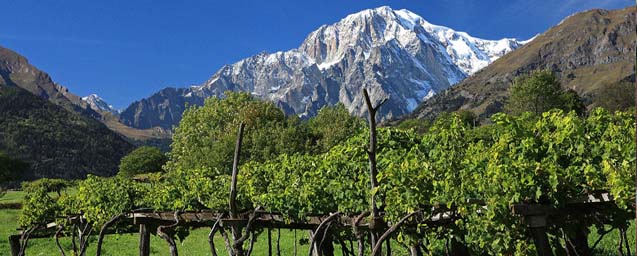 Valle d'Aosta-Monte-Bianco-Vigneti