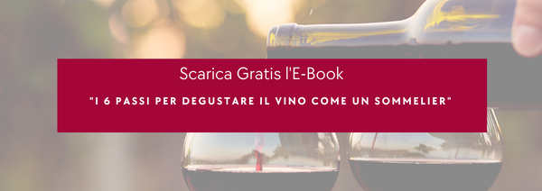 Cavatappi A Pressione Pompa Aria Apribottiglie Apri Bottiglie Vino  Sommelier - ND - Idee regalo